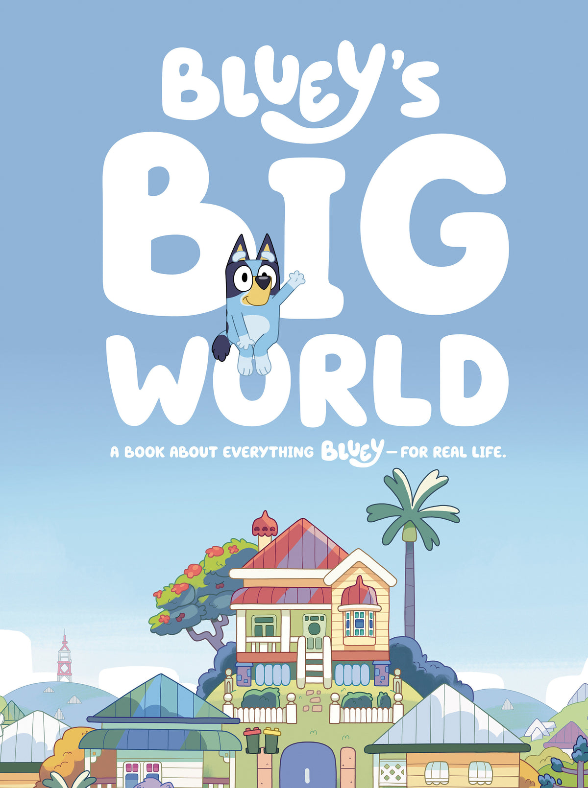 Bluey's Big World HC