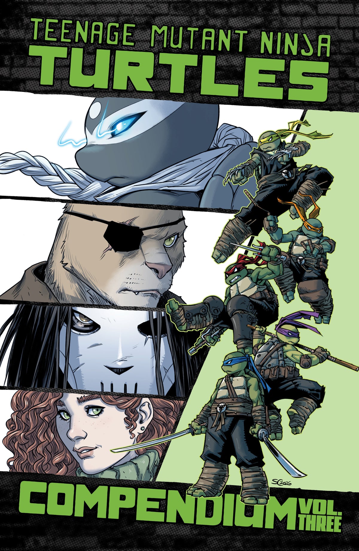 Teenage Mutant Ninja Turtles: Ongoing Compendium Vol 3