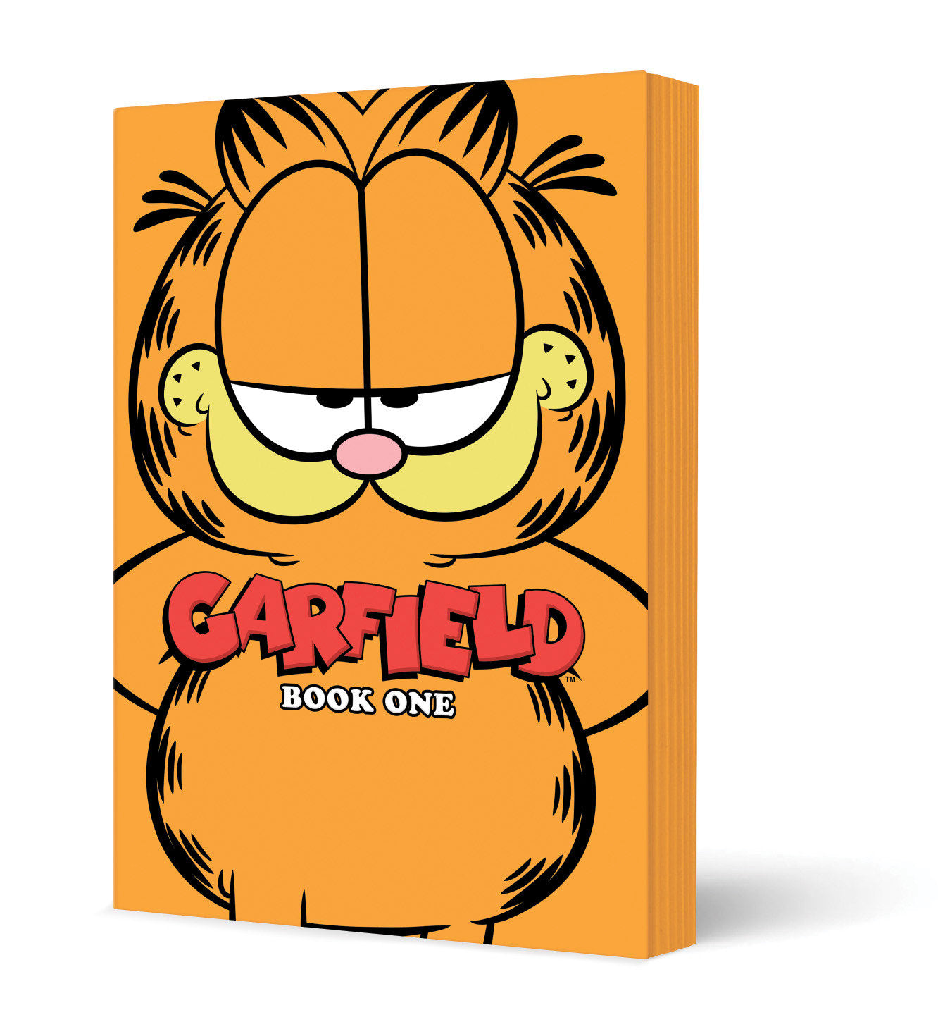 Garfield Book One TPB