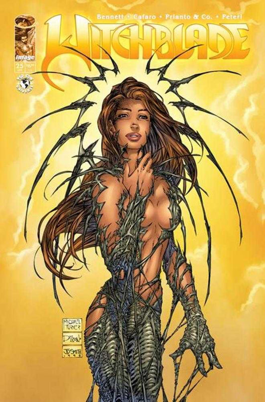 Witchblade #25 Cover D 1 in 50 Michael Turner & Dtron Spot Foil Variant
